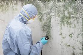 Biohazard Mold Removal in Garden Acres, CA